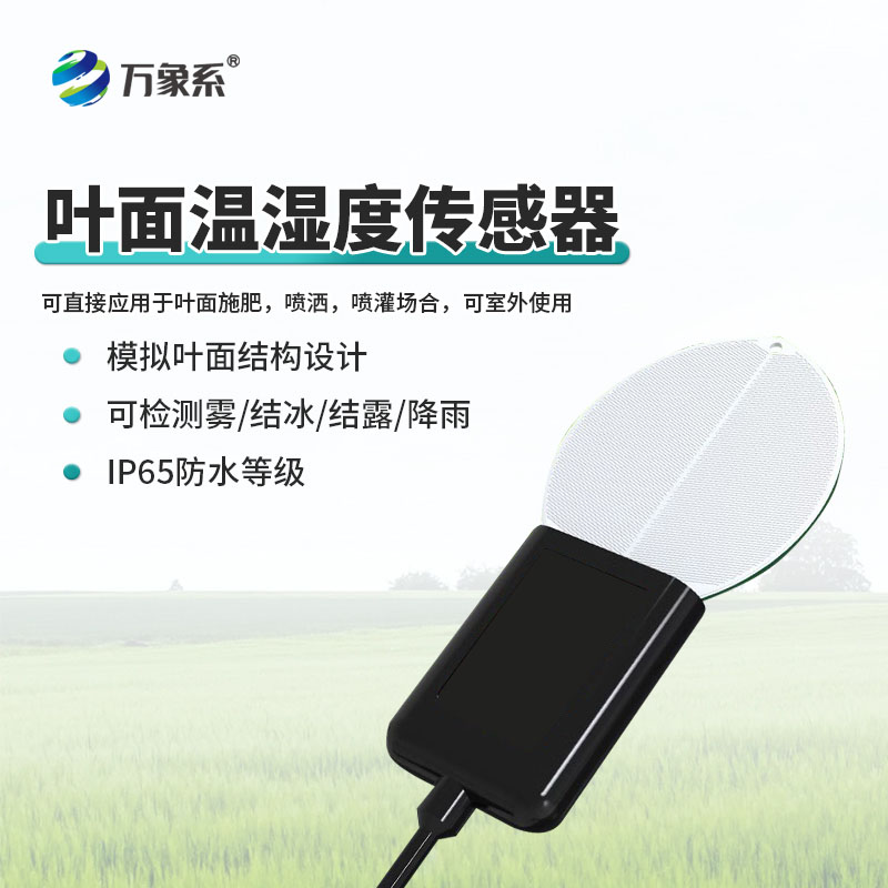 叶面温湿度传感器